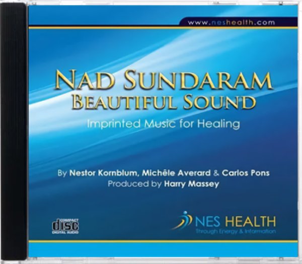 画像1: NAD SUNDARAM - BEAUTIFUL SOUND（CD） (1)