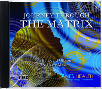 JOURNEY THROUGH THE MATRIX（CD）